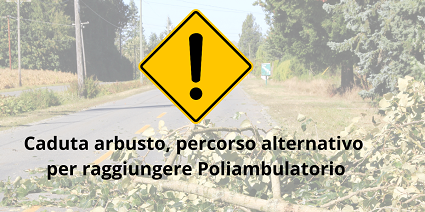 Alert caduta albero - percorso alternativo Via di Barbiano