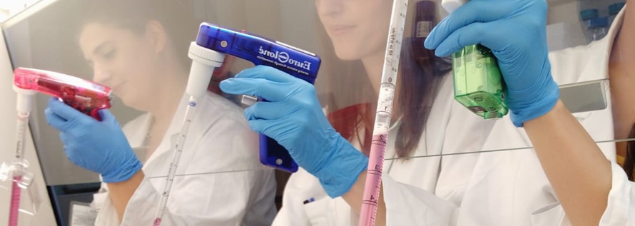 Attività in un laboratorio di ricerca (particolare)