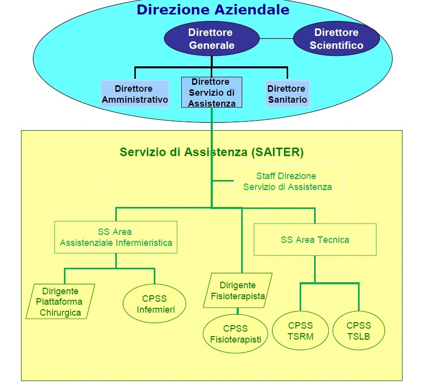 Organigramma del Servizio di Assistenza Infermieristica, Tecnica e della Riabilitazione (SAITER)