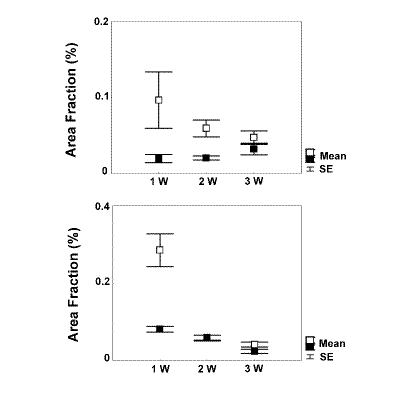 Figure 2 – Effects of MMP-13 KD on Sox9 expression in maturing micromasses. 